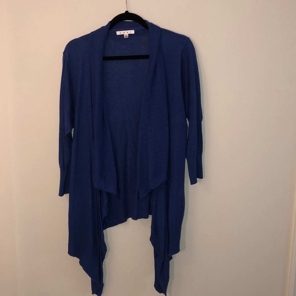 CAbi blue sweater